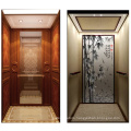 Beautifully Decorated Home Elevator with Good Quality Competitive Price